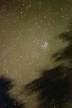 Pleades