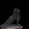 Eclipse & Lion