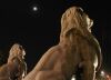 Eclipse & Lions 20h19