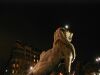 Lion au ballon 20h16