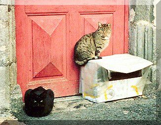 Entretiens de Bi-Chat