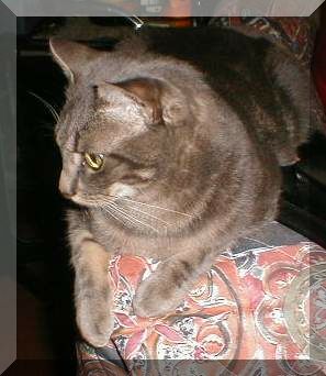 Monsieur Duchat