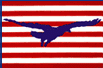 Cybernation of Freedom