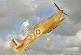 Hurricane